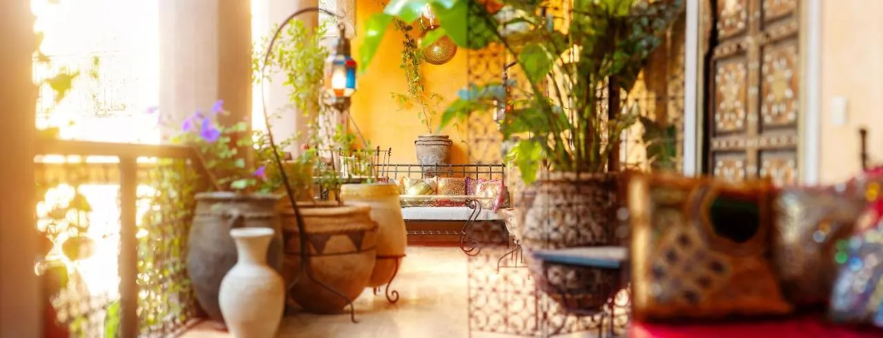 Riad Roxanne Marrakesh